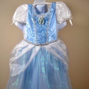 Cinderella Costume